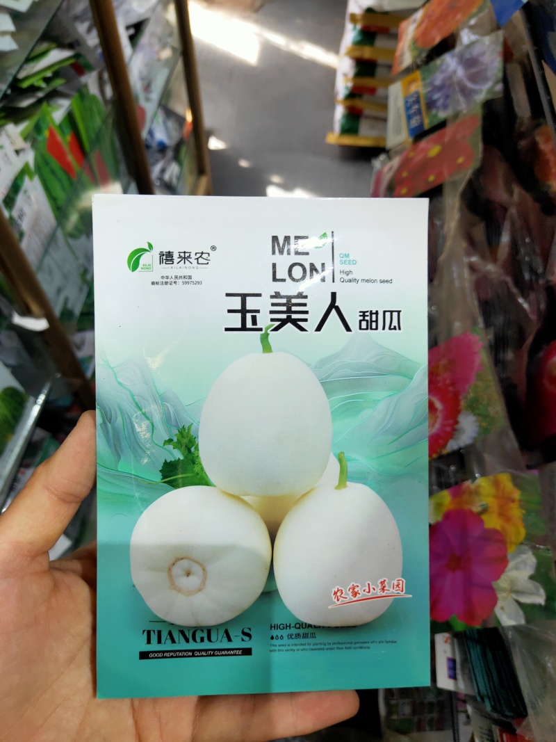 玉美人甜瓜种子香瓜种子早熟果皮白色白肉南北方均可种植