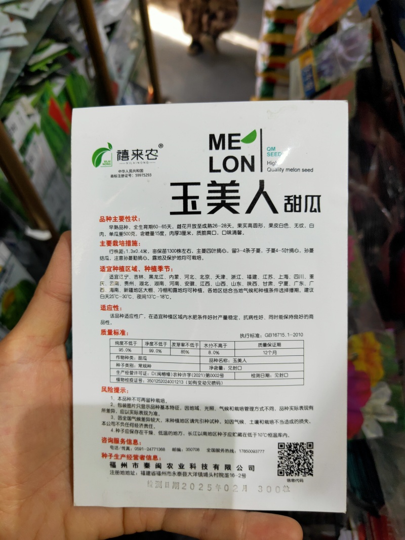 玉美人甜瓜种子香瓜种子早熟果皮白色白肉南北方均可种植