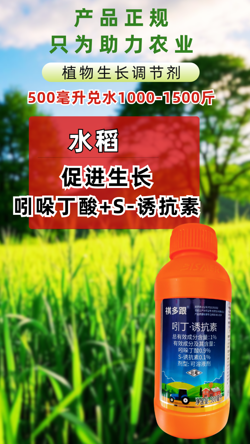 1%吲丁诱抗素促生根生新根提高水肥吸收抗逆强