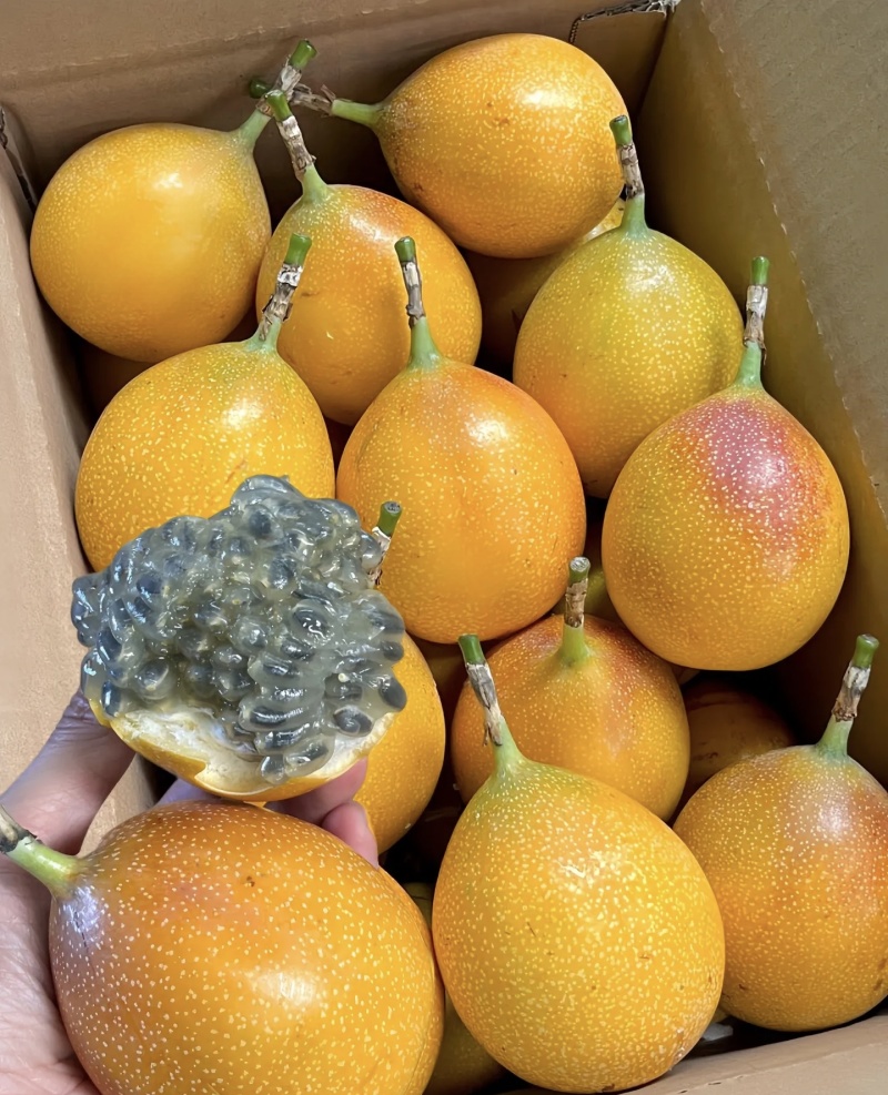 堪称鱼子酱的热情果