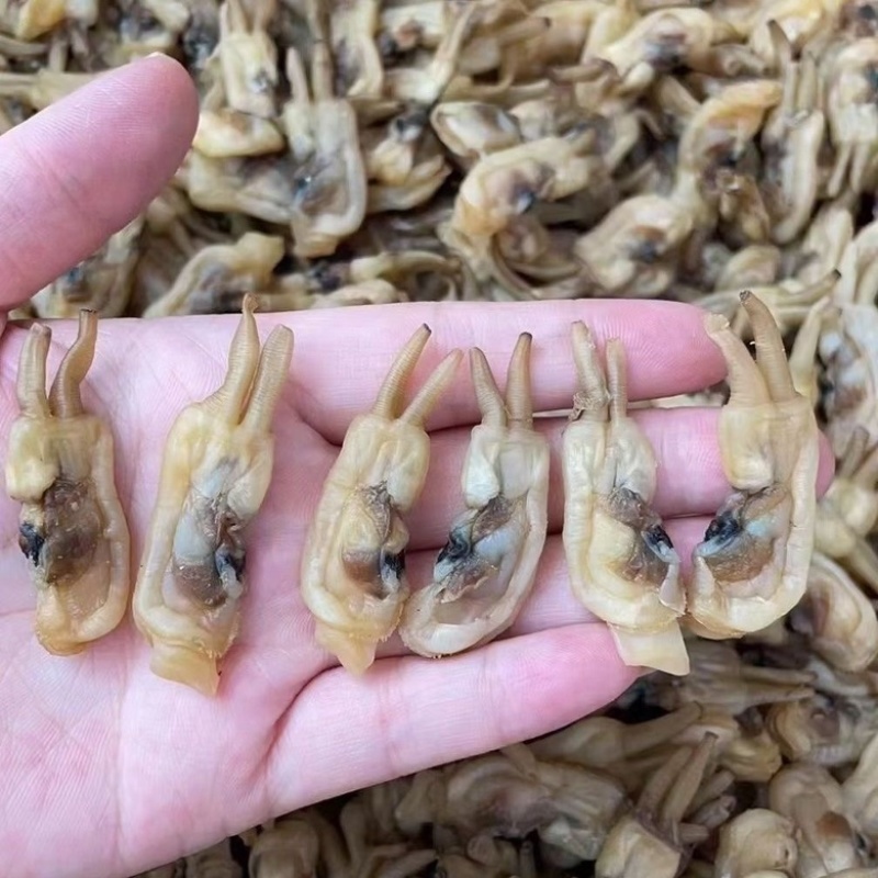 福建东山岛海蛏干无沙淡干蛏子肉干货海鲜干货批发