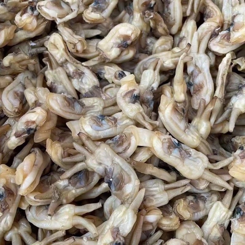 福建东山岛海蛏干无沙淡干蛏子肉干货海鲜干货批发