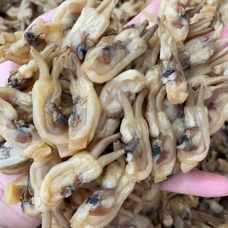 福建东山岛海蛏干无沙淡干蛏子肉干货海鲜干货批发