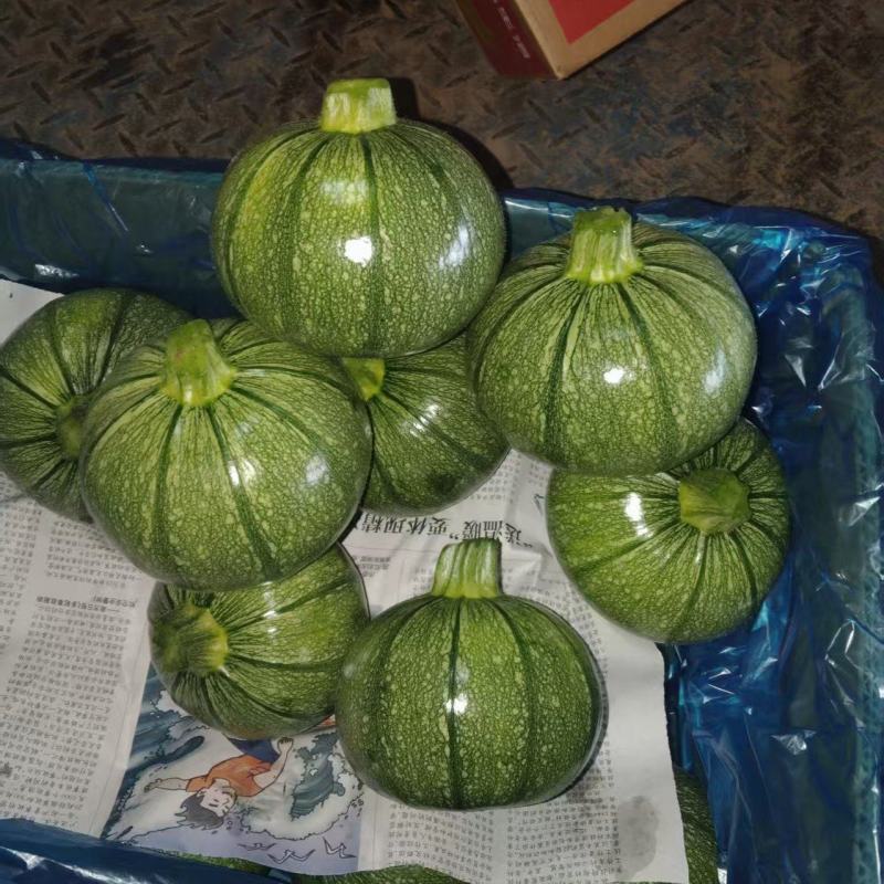【热卖】圆西葫芦绿皮西葫芦产地直发保质保量