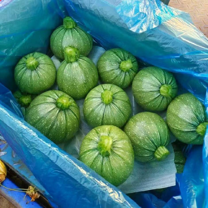 【热卖】圆西葫芦绿皮西葫芦产地直发保质保量