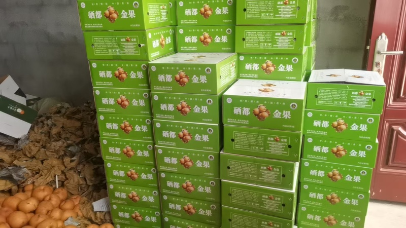 湖北恩施建始县景阳镇金果梨农庄大量发货一手货源批发保品质