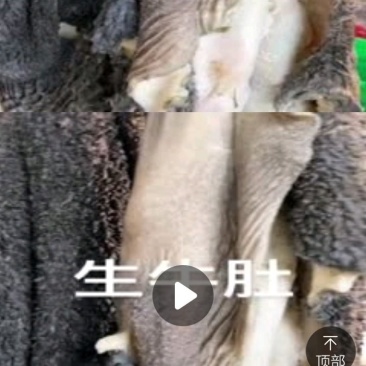 现杀新鲜牛肚