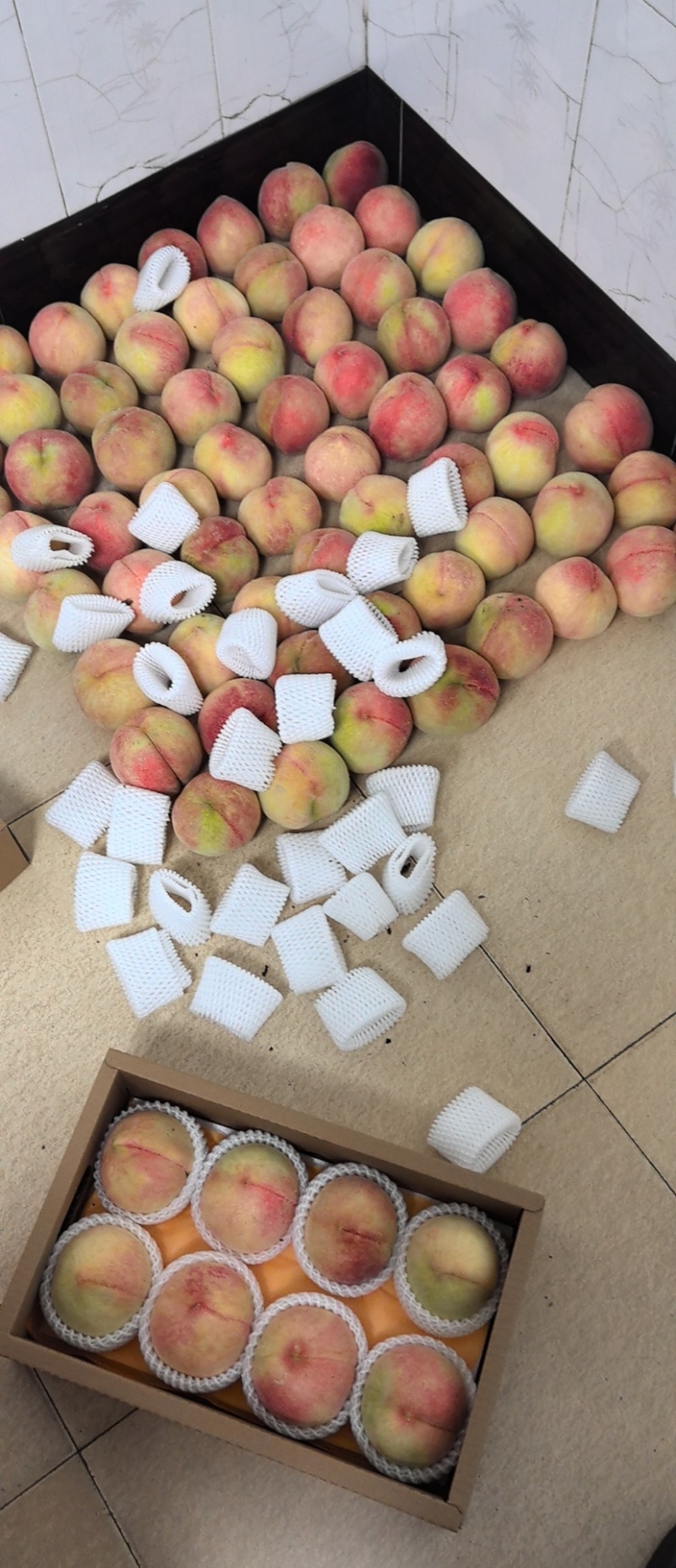 无锡阳山水蜜桃一手货源精品装，礼品装，零卖
