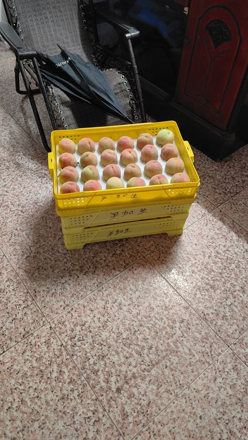 无锡阳山水蜜桃一手货源精品装，礼品装，零卖