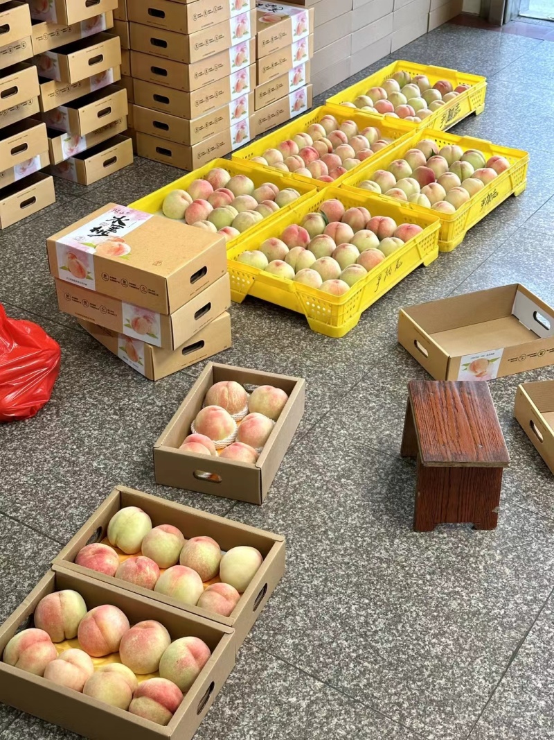 无锡阳山水蜜桃一手货源精品装，礼品装，零卖