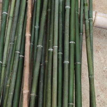 菜架杆