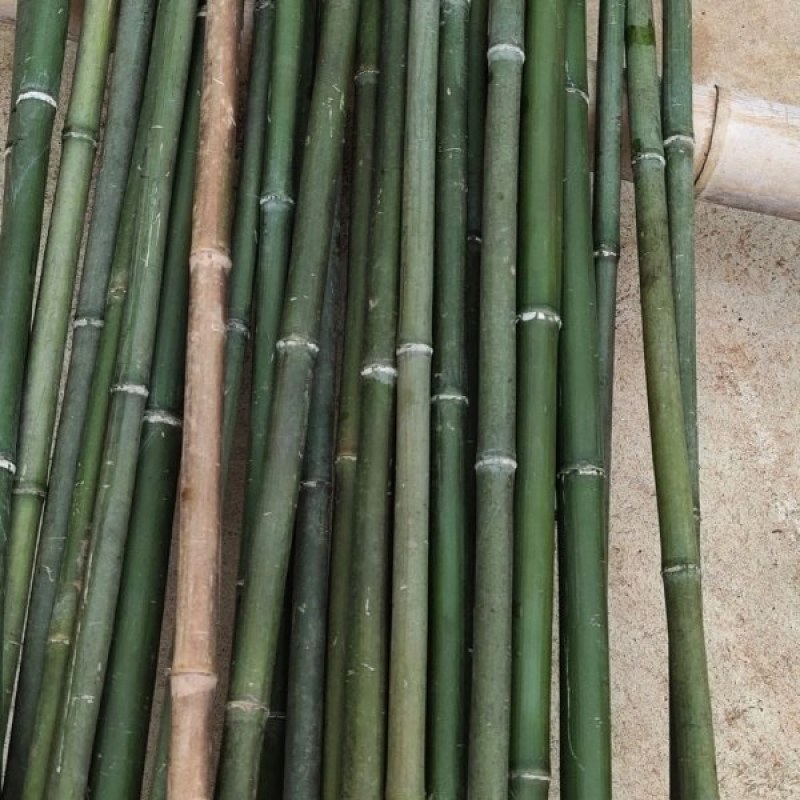 菜架杆