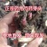 芍药多年生芍药根块耐寒花卉冻不死花苗四季可以种植