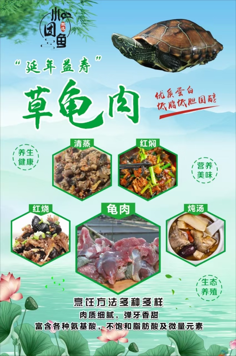 酱板龟肉