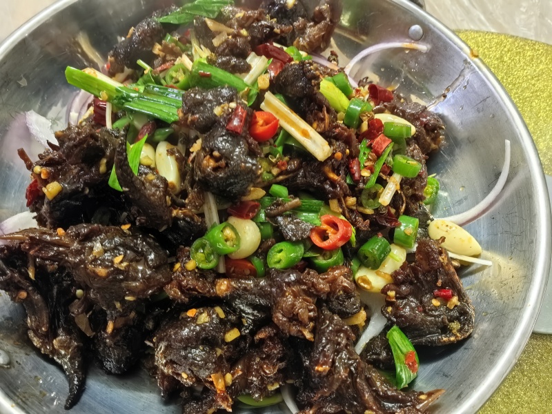酱板龟肉