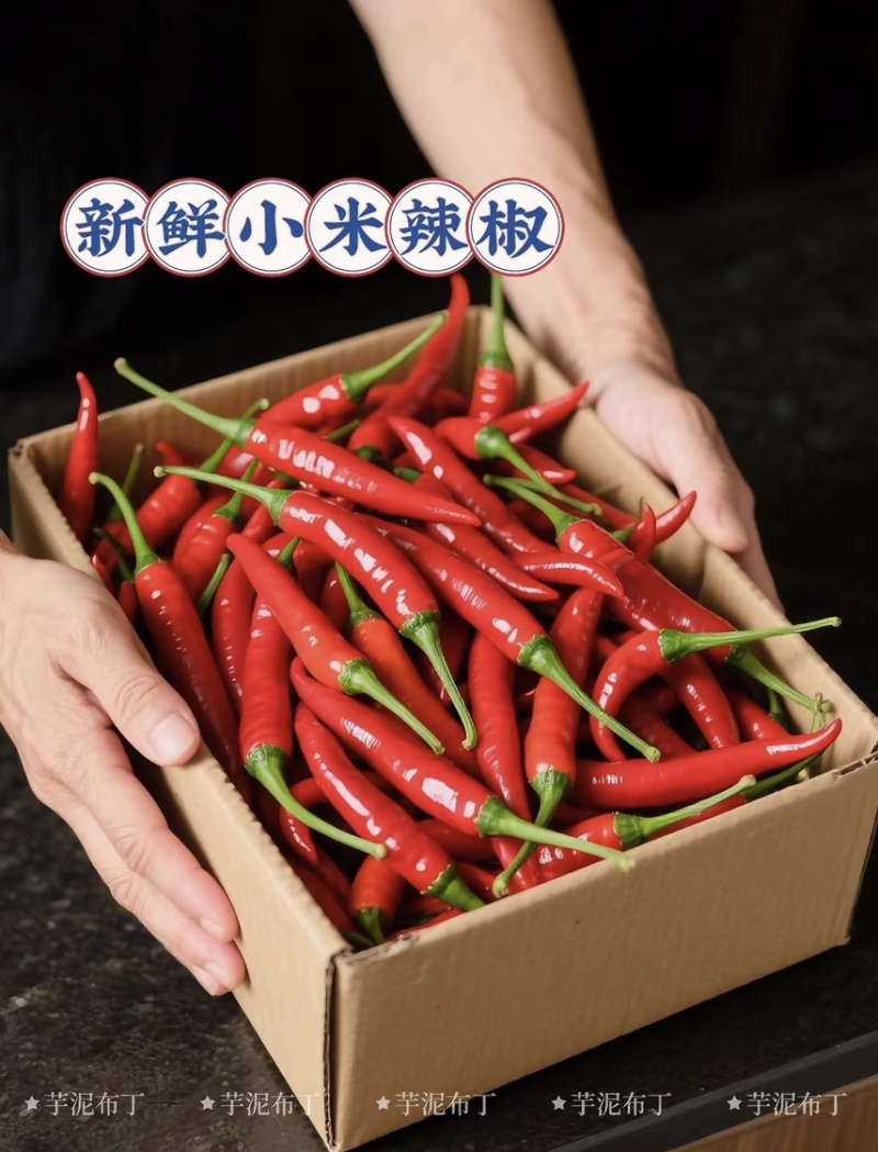 海南儋州：新鲜小米辣