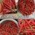 海南儋州：新鲜小米辣