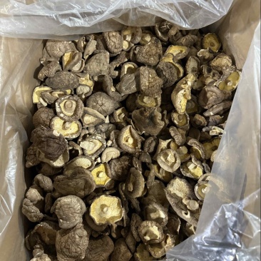 包邮烘干大冬菇4厘米以上无塑料食品厂专用香菇