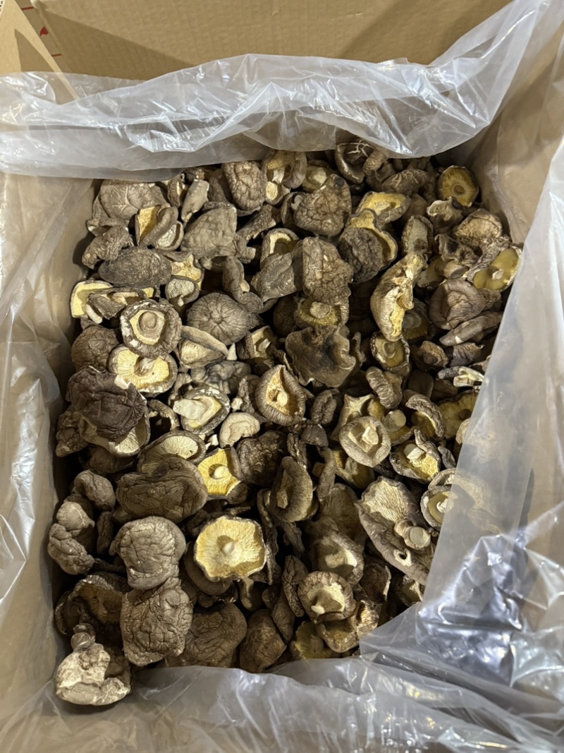 包邮烘干大冬菇4厘米以上无塑料食品厂专用香菇