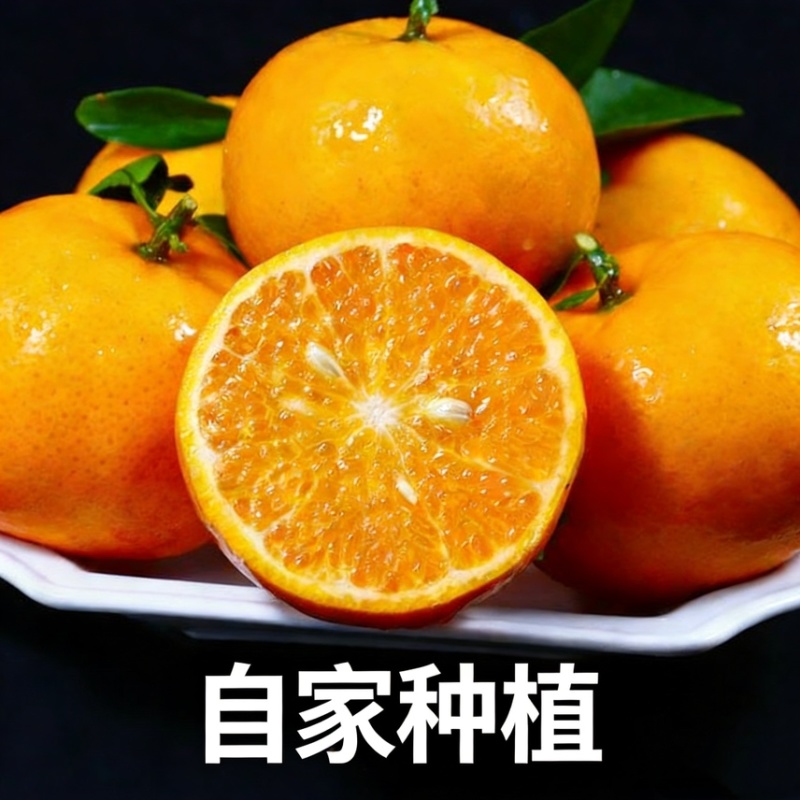 自家种植的正宗广西沃柑柑橘橘子新鲜薄皮桔子现摘当季批发直发