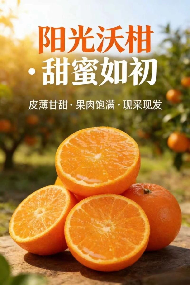自家种植的正宗广西沃柑柑橘橘子新鲜薄皮桔子现摘当季批发直发