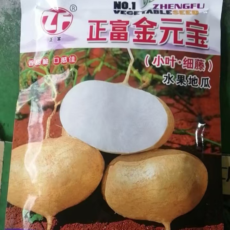 小叶地藤，水果地瓜