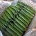 【实力商家】新鲜水果黄瓜常年供应品质保证口感清脆质优