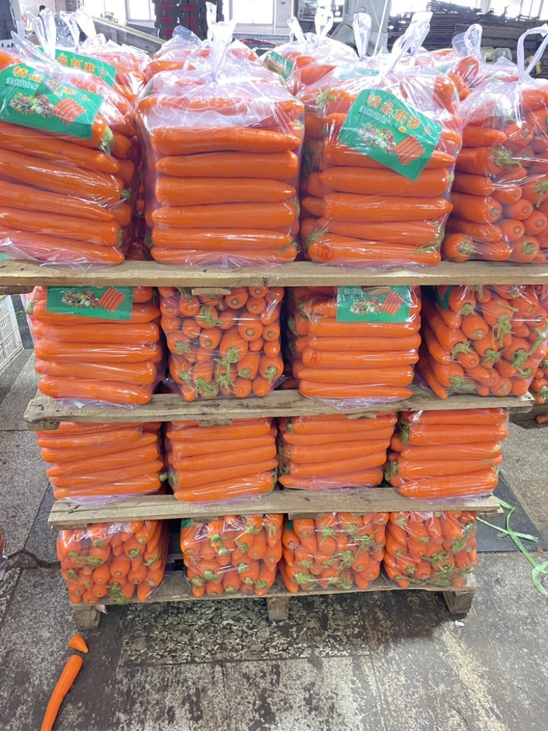 厦门精品胡萝卜，水洗货，土货，全苗，北京包，产地直发