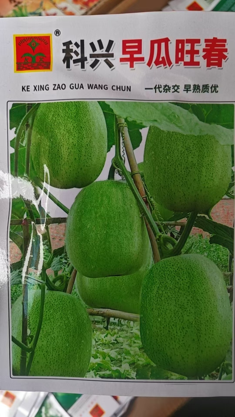 种子