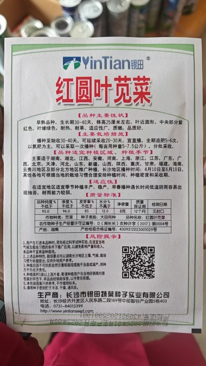 种子