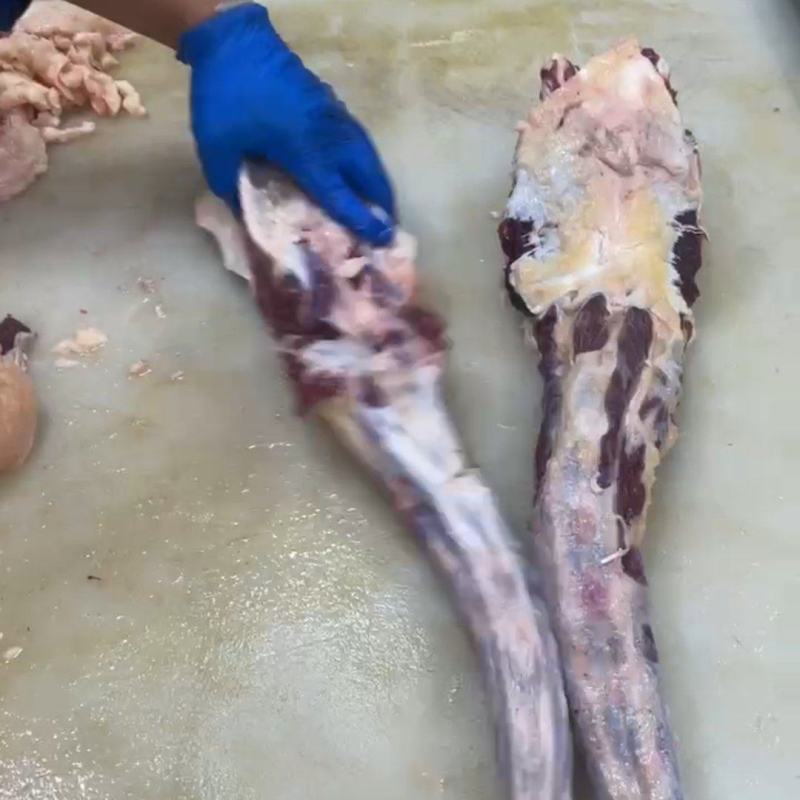 牛尾