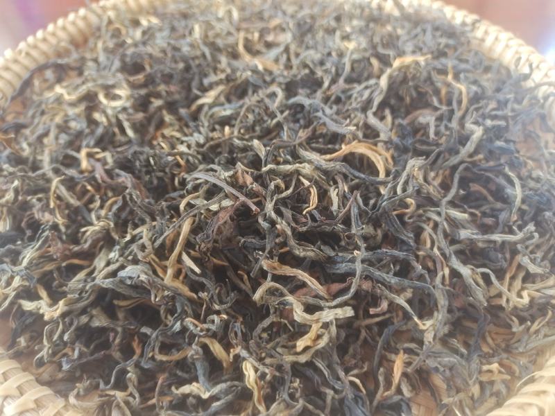 2025年，秋茶晒红