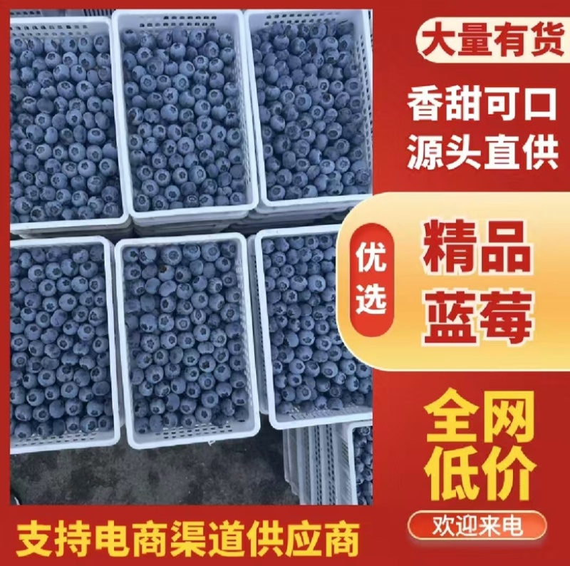 花香蓝莓L25F6L11优瑞卡纯甜无酸全国发货