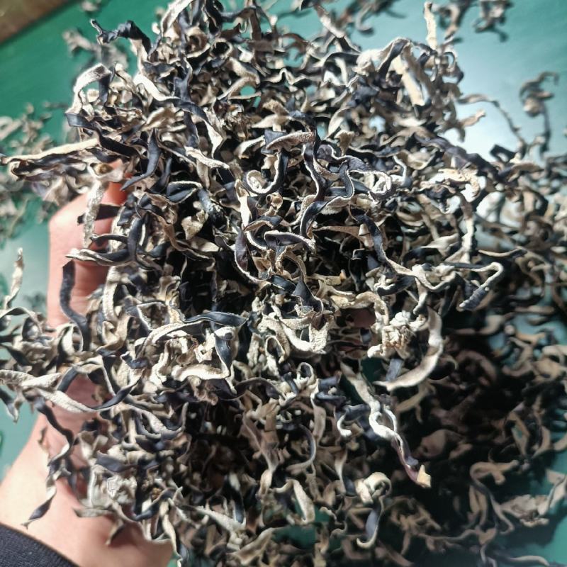 产地木耳丝直供自产自销优质白背木耳木耳丝加工厂电商