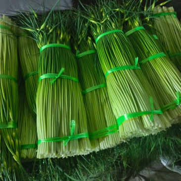 白帽蒜苔承接各大市场平台电商，欢迎合作