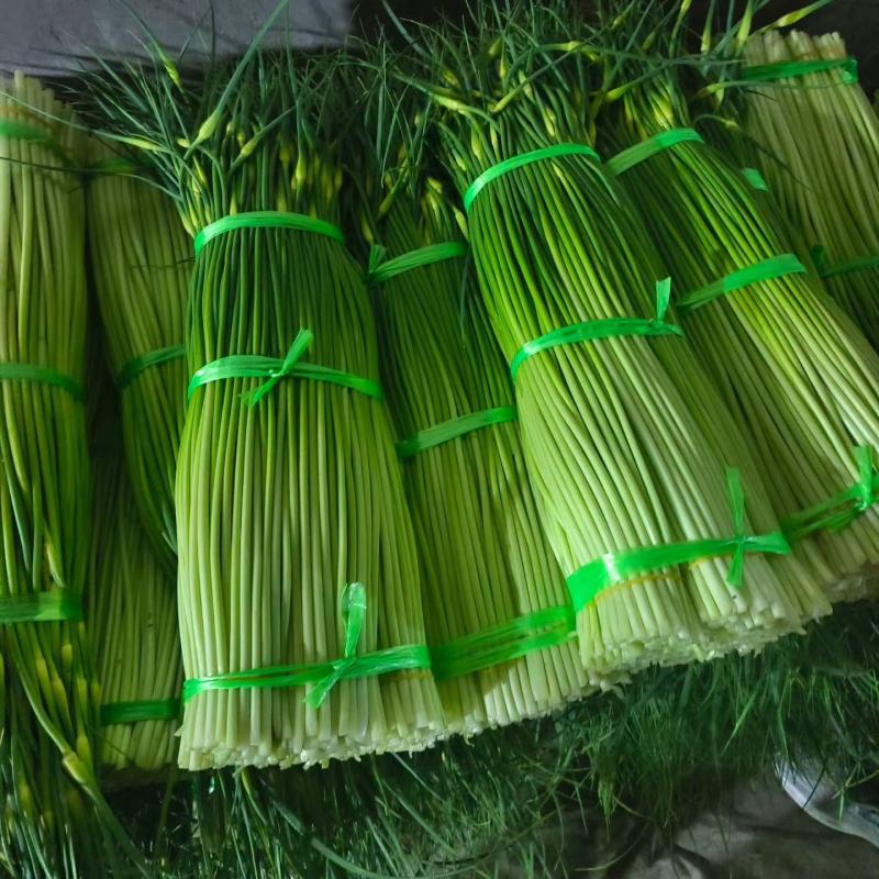 白帽蒜苔承接各大市场平台电商，欢迎合作