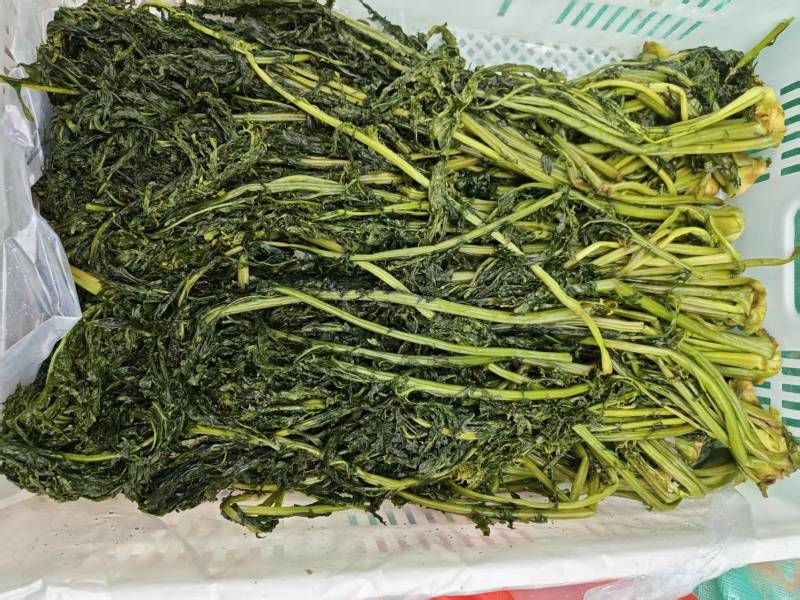 花叶芥菜樱，传统大缸泡菜，货源充足，欢迎进店咨询！
