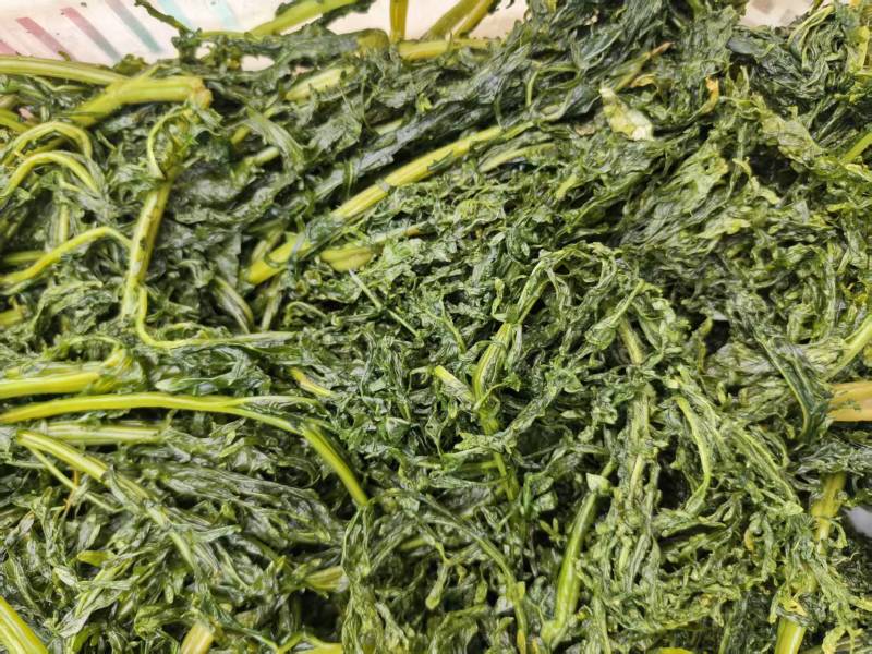 花叶芥菜樱，传统大缸泡菜，货源充足，欢迎进店咨询！
