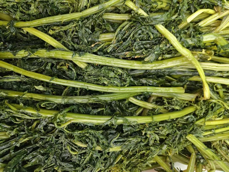 花叶芥菜樱，传统大缸泡菜，货源充足，欢迎进店咨询！