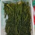 花叶芥菜樱，传统大缸泡菜，货源充足，欢迎进店咨询！