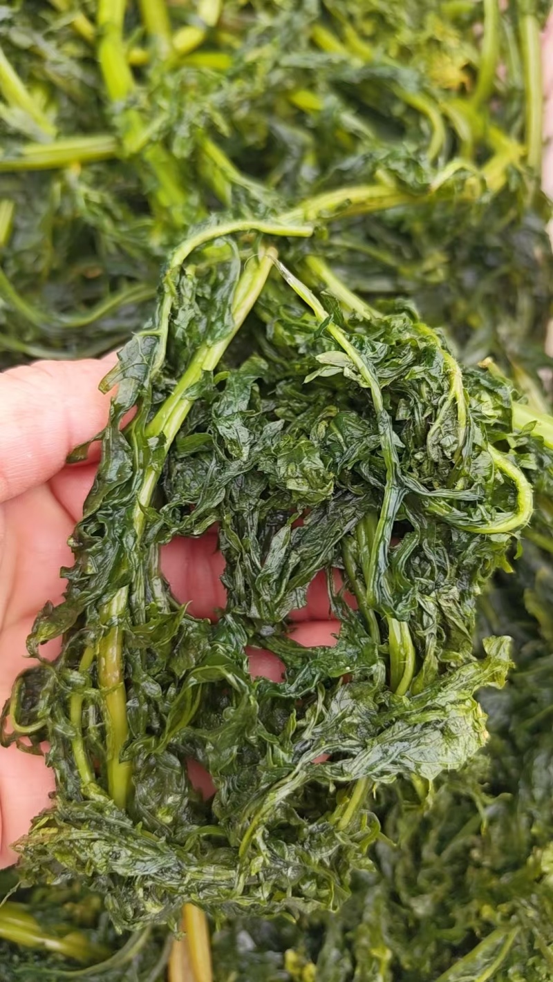 花叶芥菜樱，传统大缸泡菜，货源充足，欢迎进店咨询！
