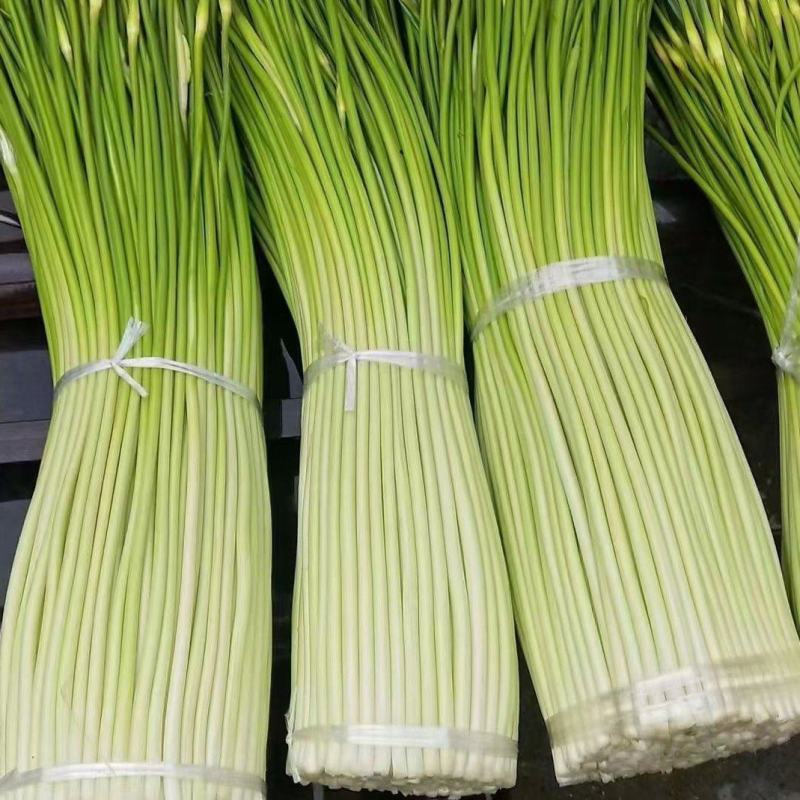 白帽蒜苔承接各大市场平台电商，欢迎合作