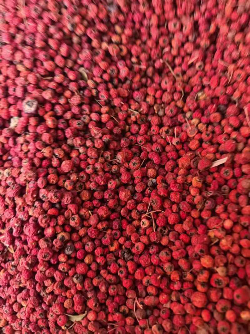 火棘果还有几吨需要的联系