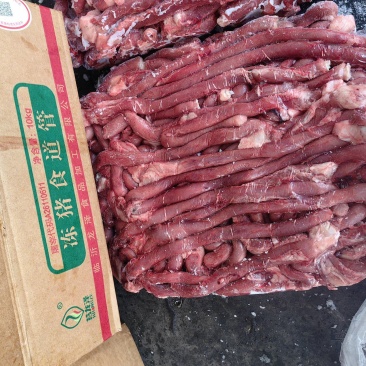 猪食管