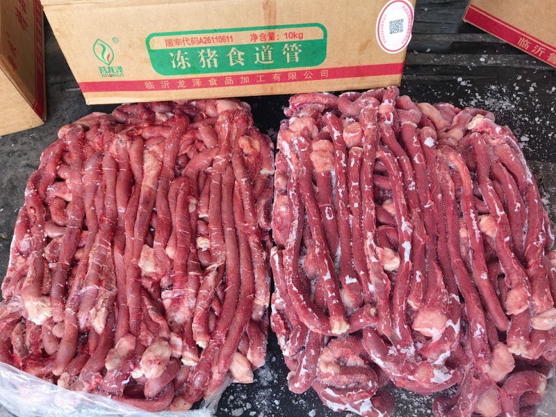 猪食管
