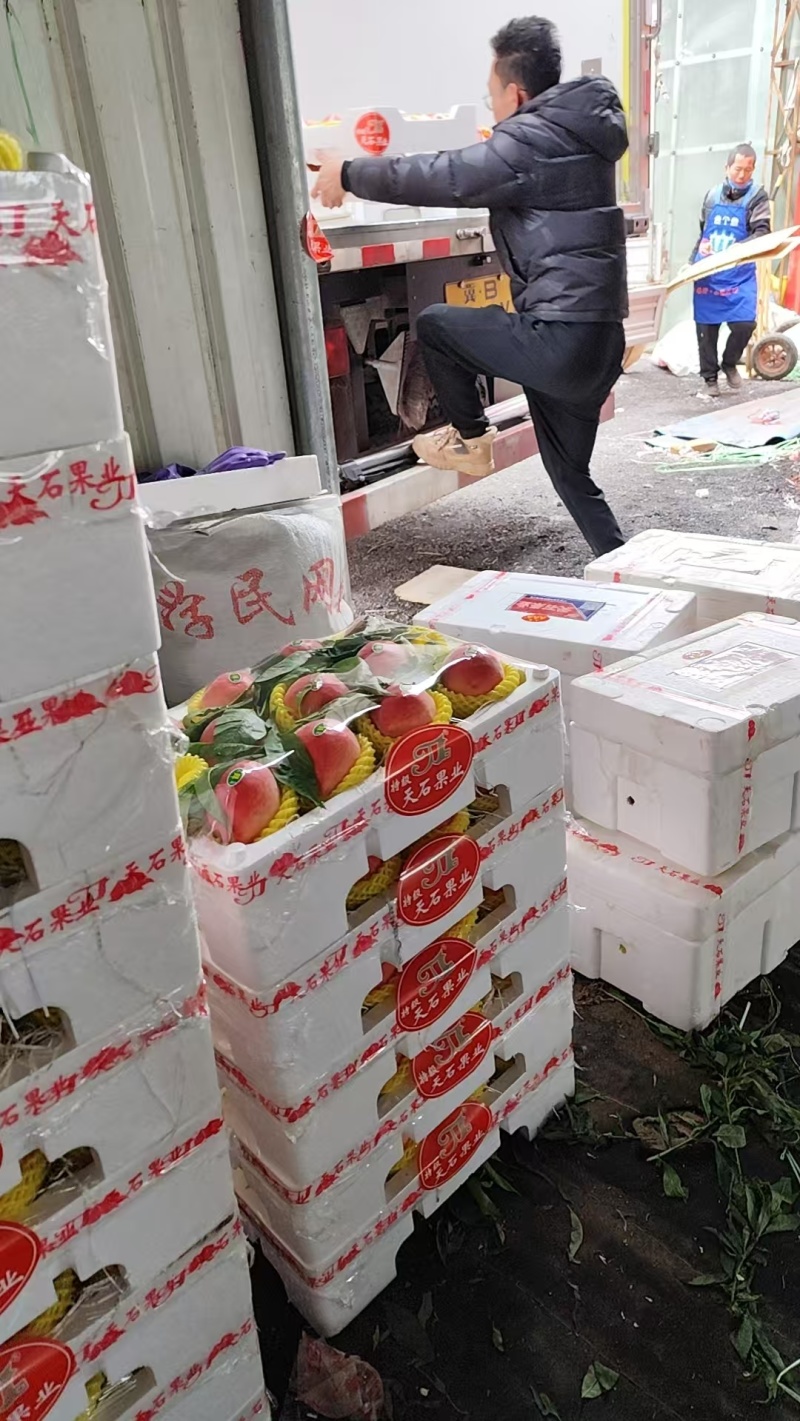 乐亭春雪桃优选春雪毛桃产地一手货源可稳定对接批发