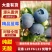 花香蓝莓纯甜无酸全国供货欢迎采购保质保量