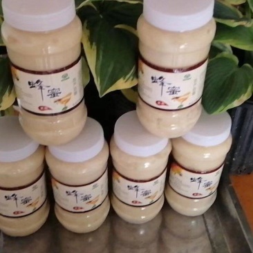 油菜花蜜是一种营养丰富的天然食品。它柔润适口，甜而不腻，
