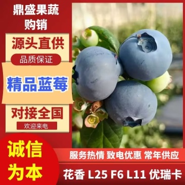 花香蓝莓L25F6L11优瑞卡纯甜无酸全国发货