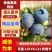 花香蓝莓L25F6L11优瑞卡纯甜无酸全国发货